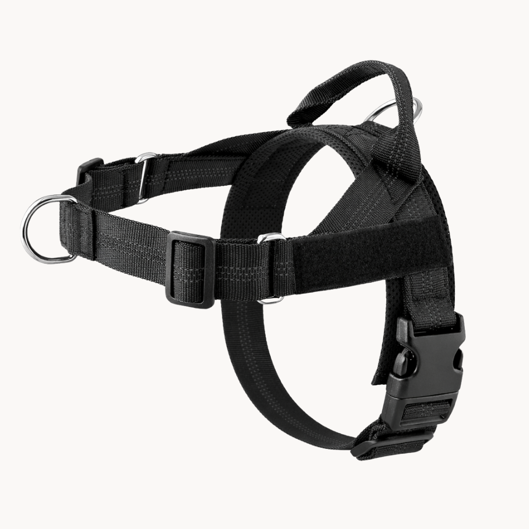 Harnais pour chien anti-traction Luxeon