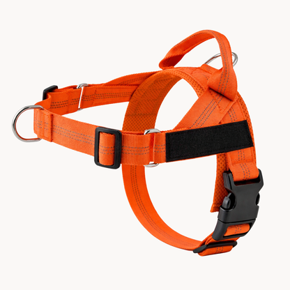Harnais pour chien anti-traction Luxeon