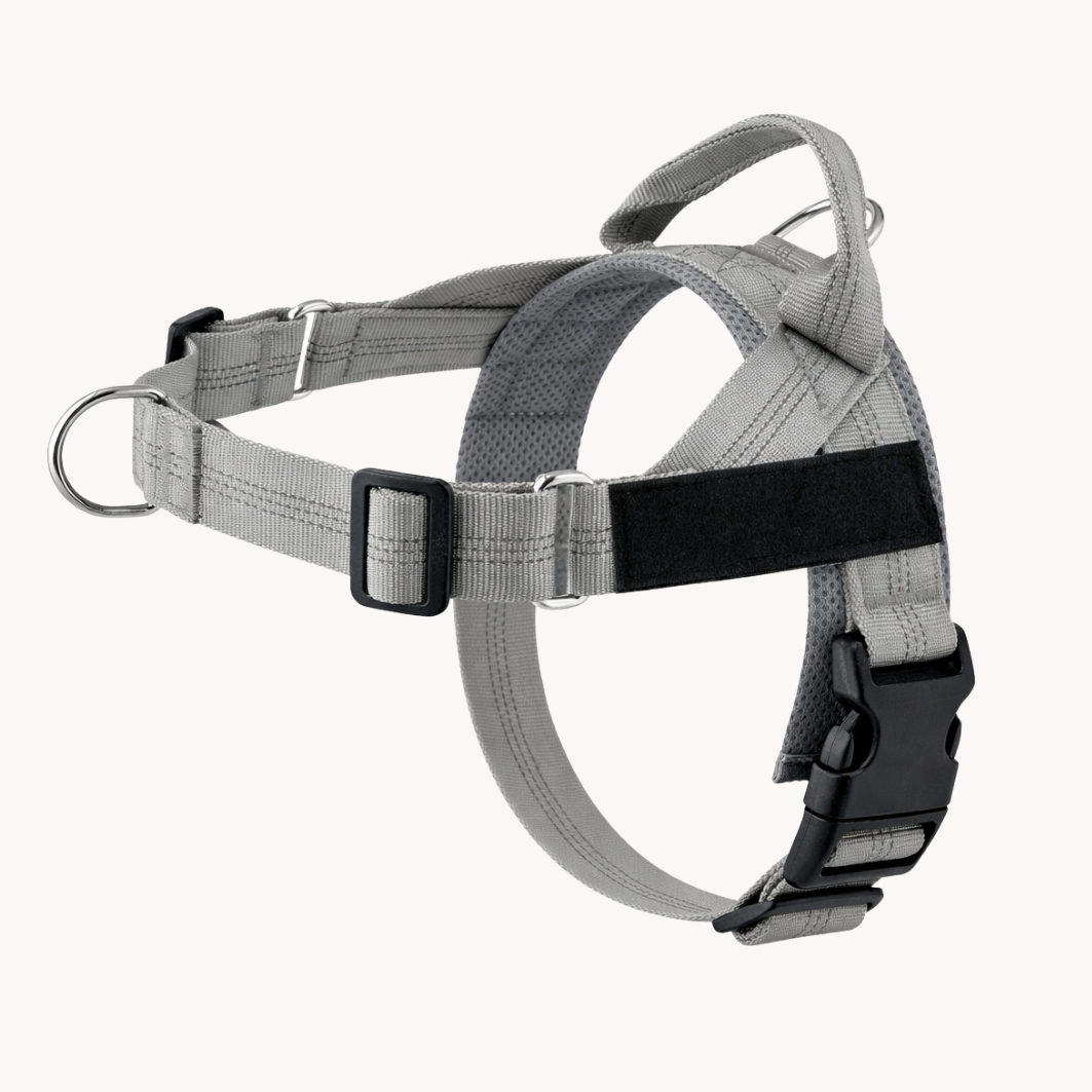Harnais pour chien anti-traction Luxeon