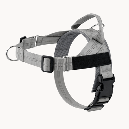 Harnais pour chien anti-traction Luxeon