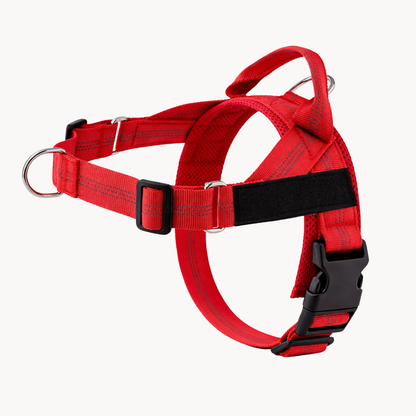 Harnais pour chien anti-traction Luxeon