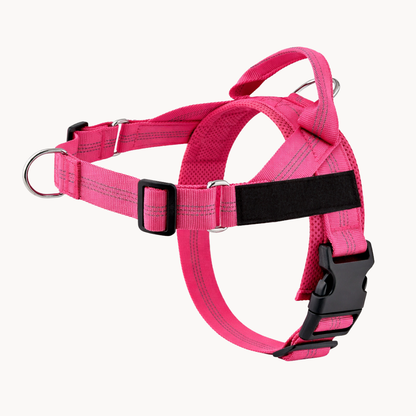 Harnais pour chien anti-traction Luxeon