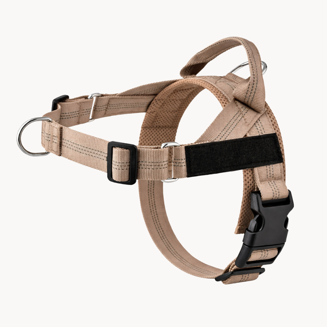 Harnais pour chien anti-traction Luxeon