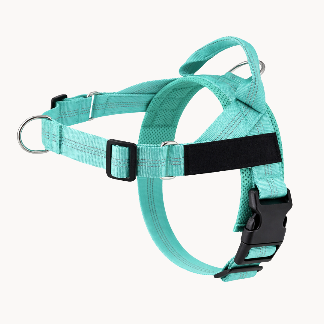 Harnais pour chien anti-traction Luxeon