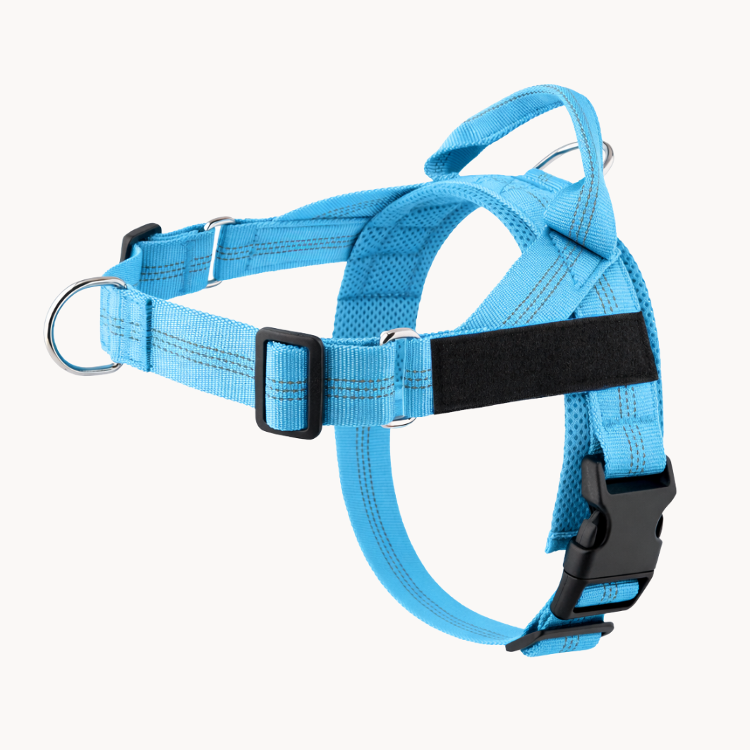 Harnais pour chien anti-traction Luxeon