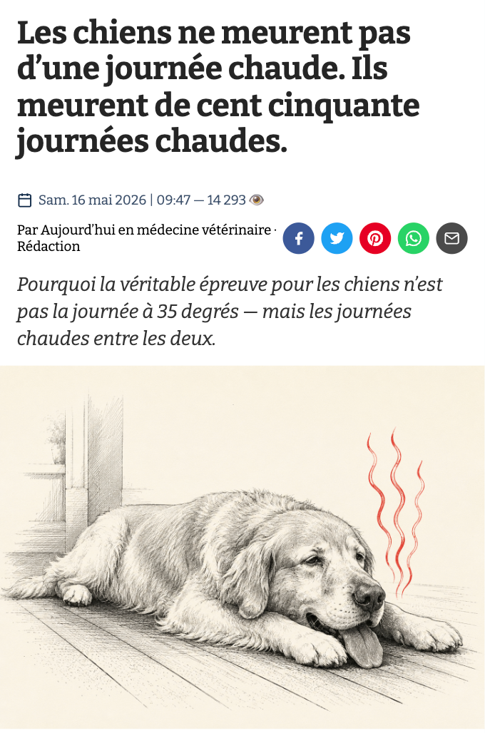Chien allongé sur un tapis rafraîchissant Patoulina