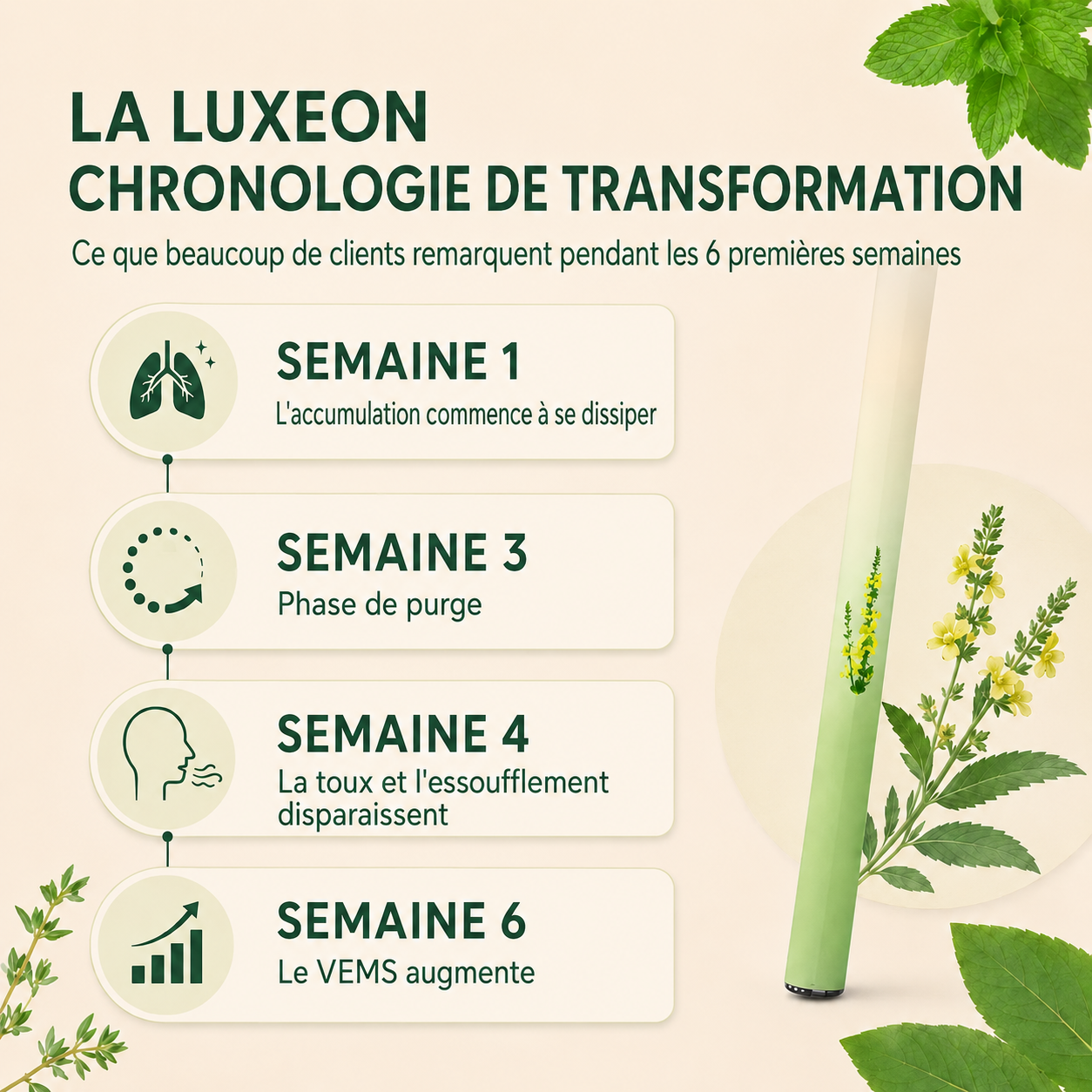 Purificateur de molène Luxeon