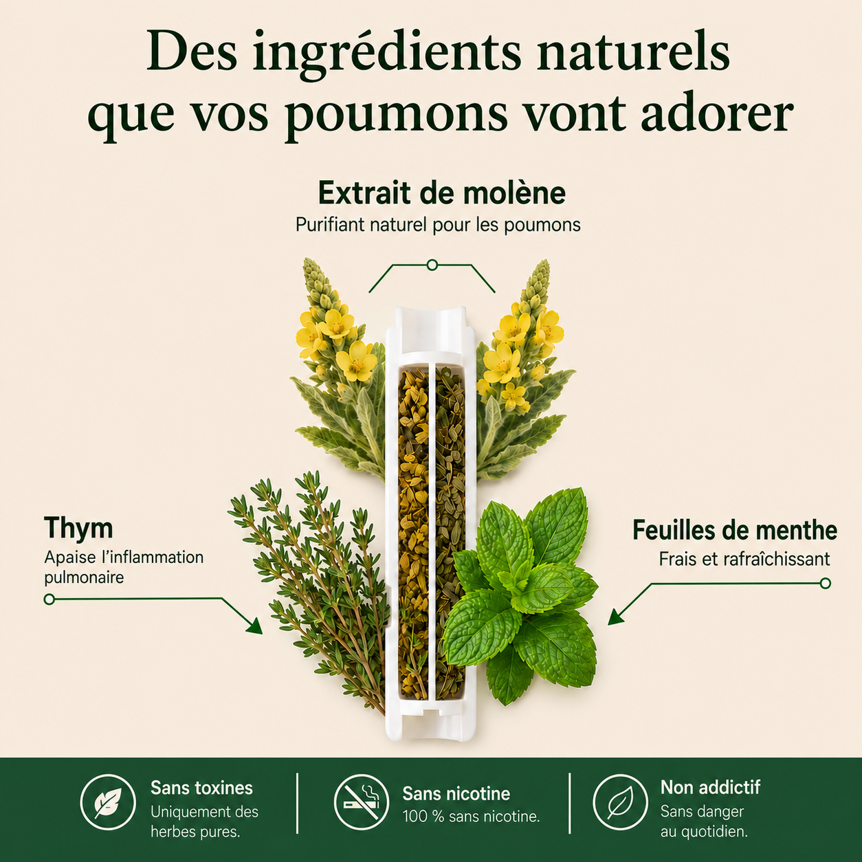 Purificateur de molène Luxeon