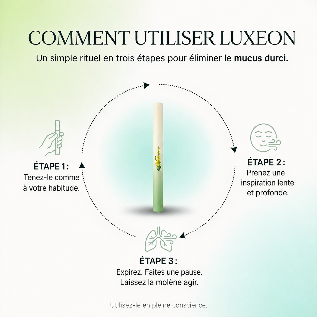 Purificateur de molène Luxeon