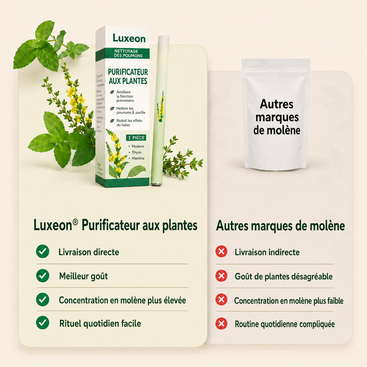 Purificateur de molène Luxeon