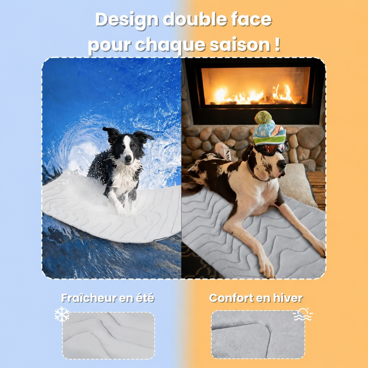 PawsChill™ – Le tapis rafraîchissant innovant pour chiens