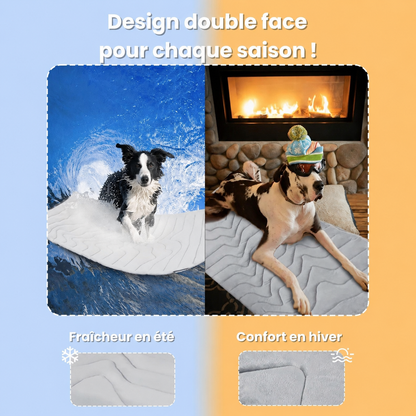 PawsChill™ – Le tapis rafraîchissant innovant pour chiens
