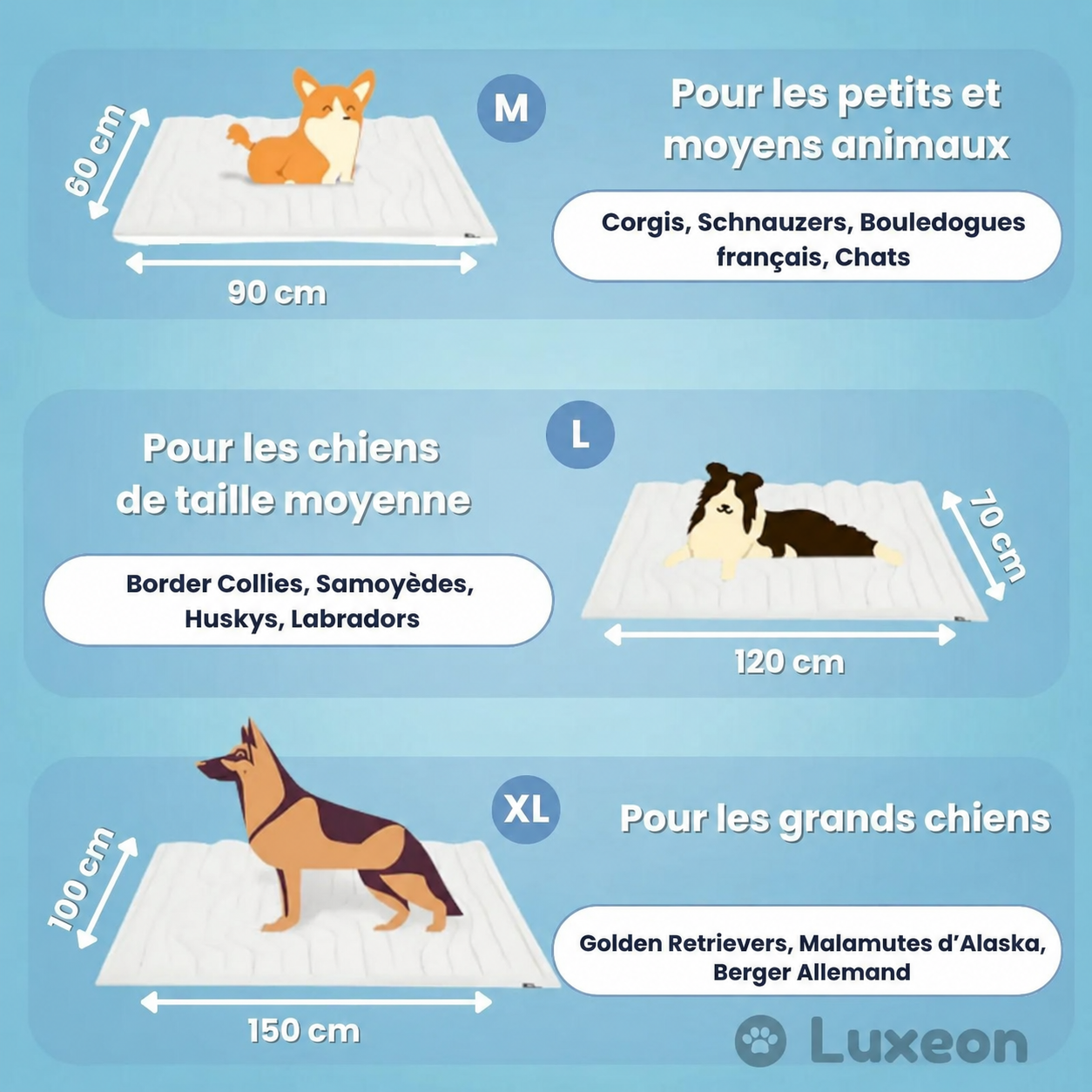 PawsChill™ – Le tapis rafraîchissant innovant pour chiens
