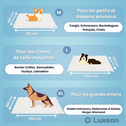 PawsChill™ – Le tapis rafraîchissant innovant pour chiens