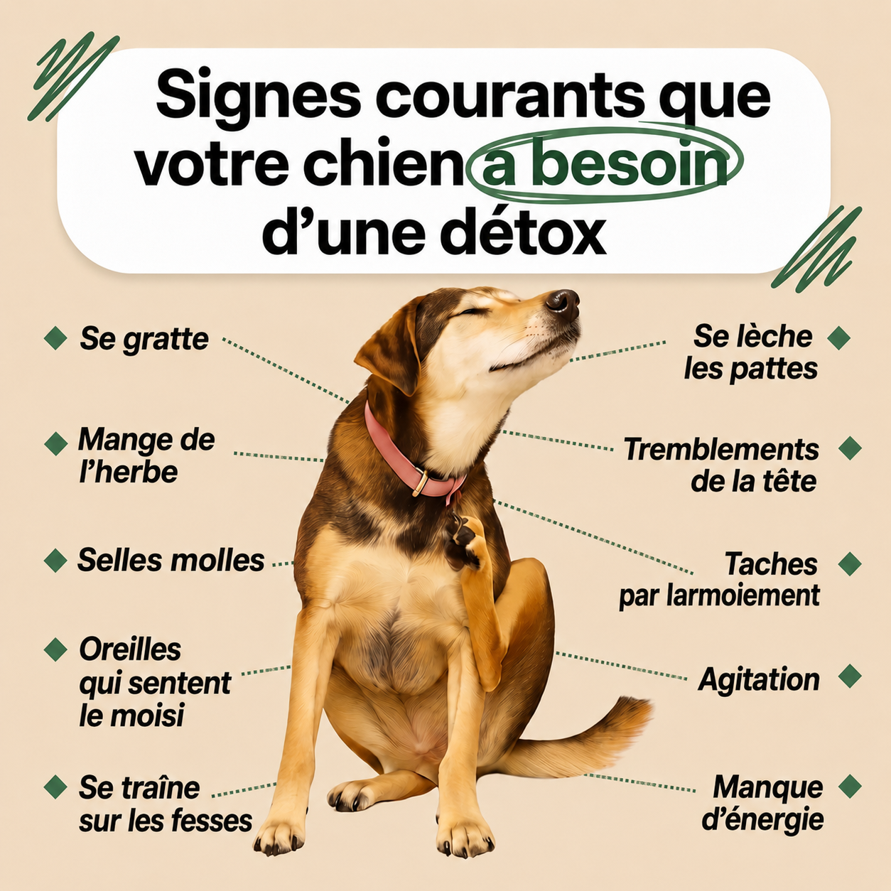 Gouttes antiparasitaires Luxeon™