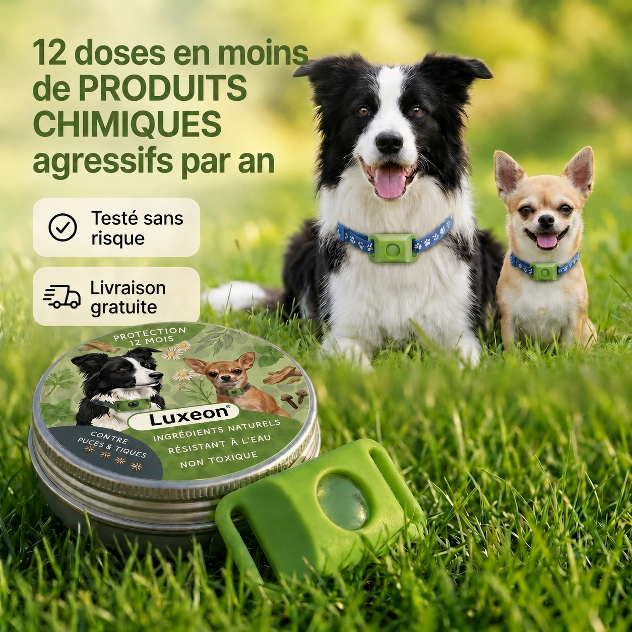 Pendentif Luxeon™ - 12 mois de protection naturelle pour chiens