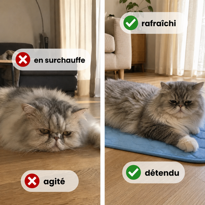 Tapis rafraîchissant Luxeon
