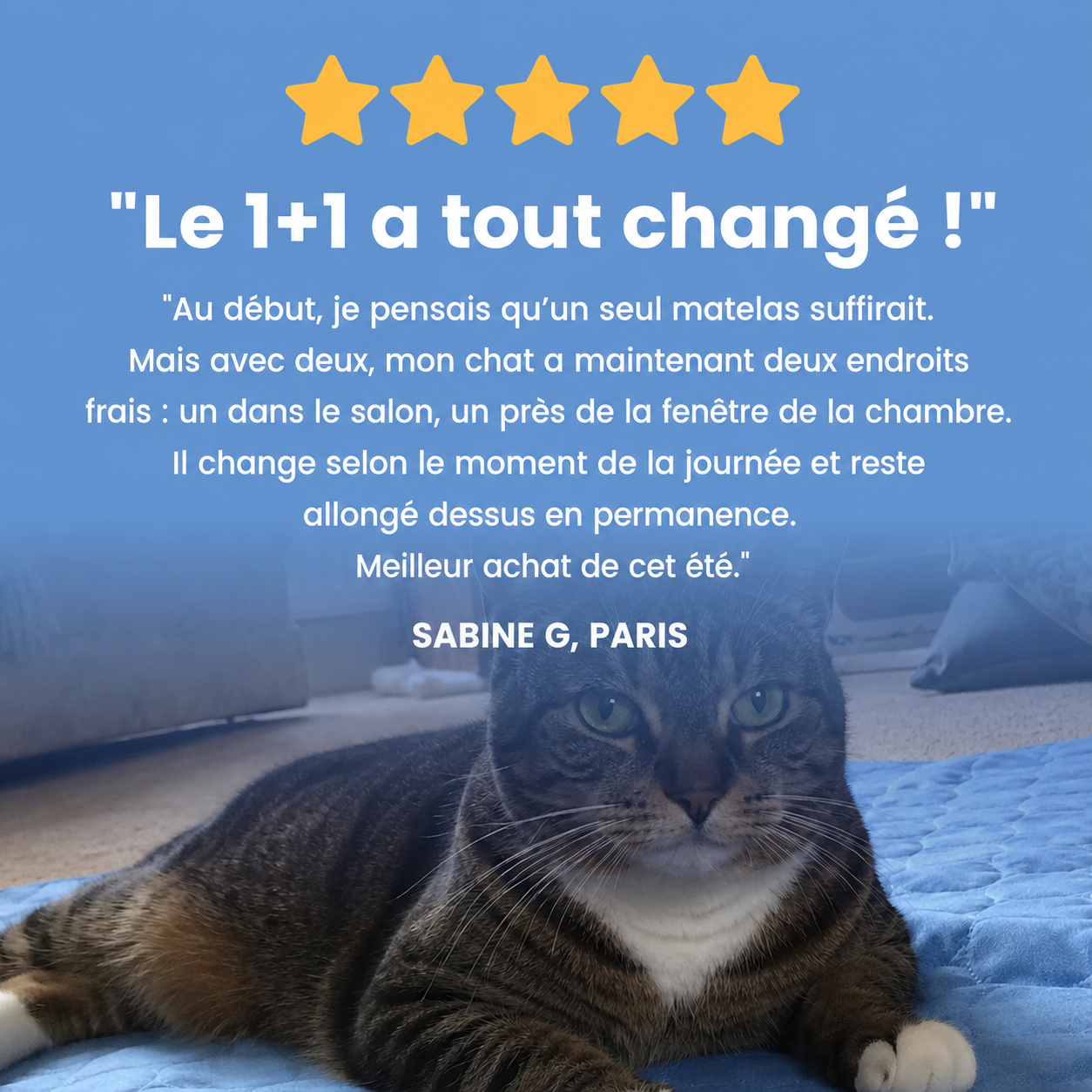 Tapis rafraîchissant Luxeon