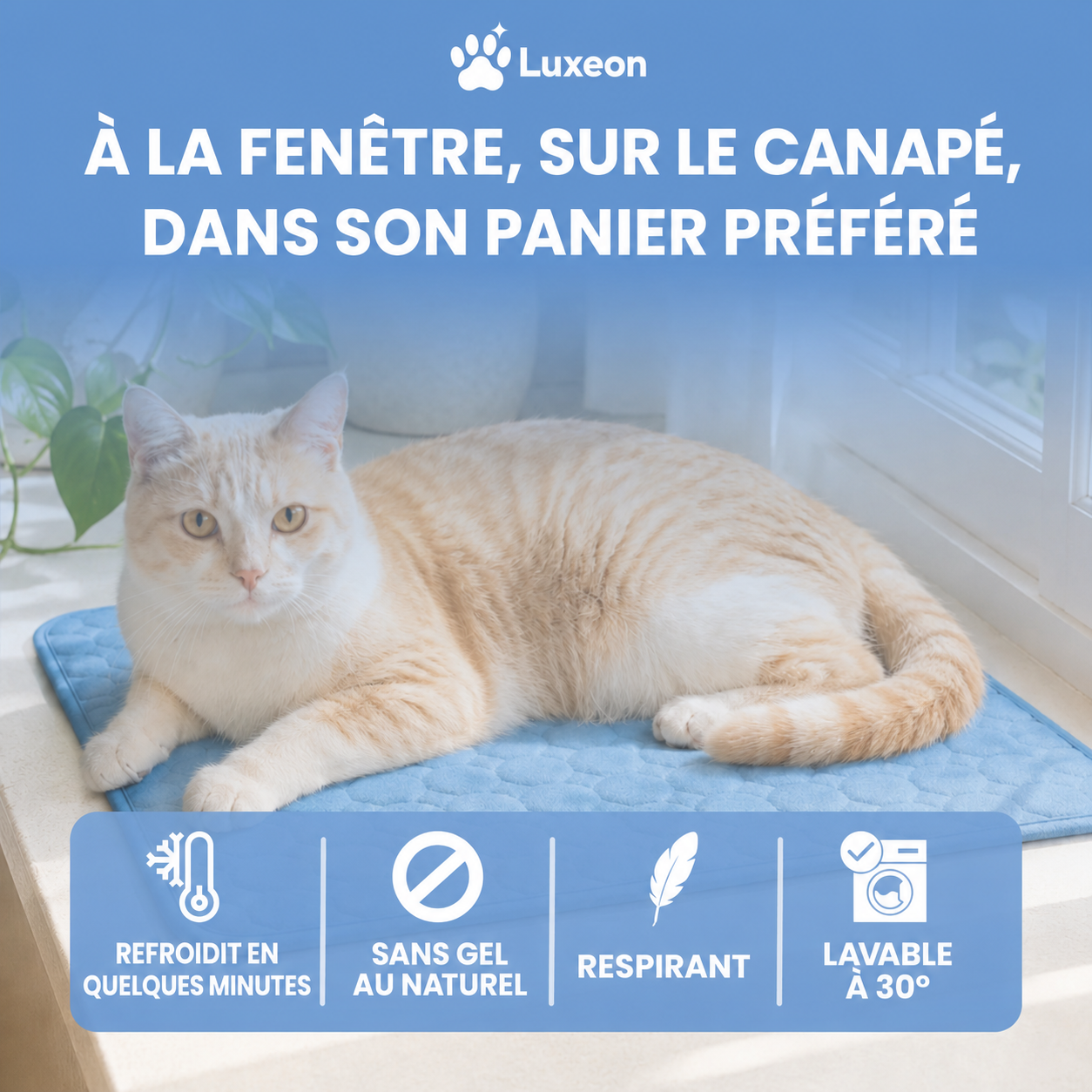 Tapis rafraîchissant Luxeon