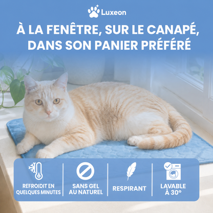 Tapis rafraîchissant Luxeon