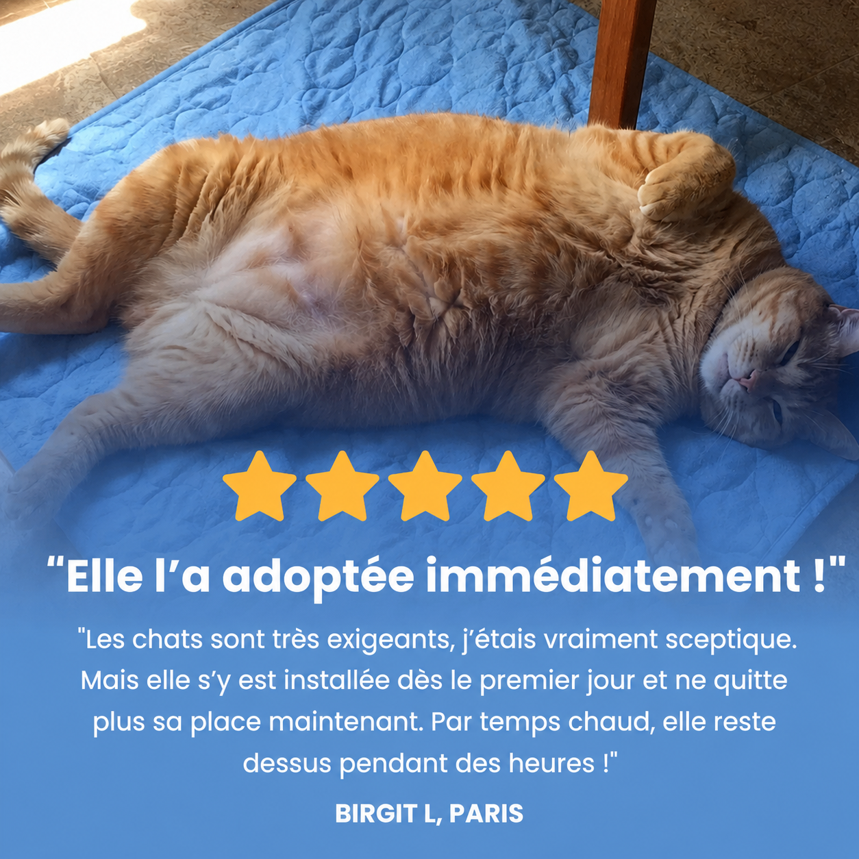 Tapis rafraîchissant Luxeon