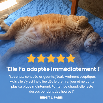 Tapis rafraîchissant Luxeon
