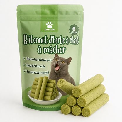 Bâtonnets de dentition à l’herbe à chat