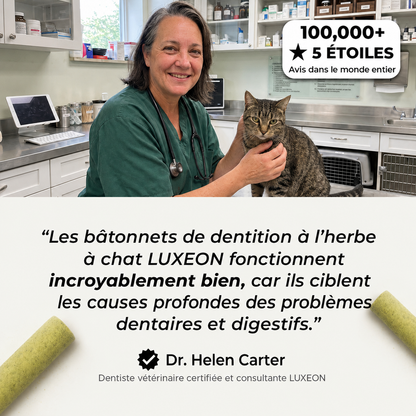 Bâtonnets de dentition à l’herbe à chat