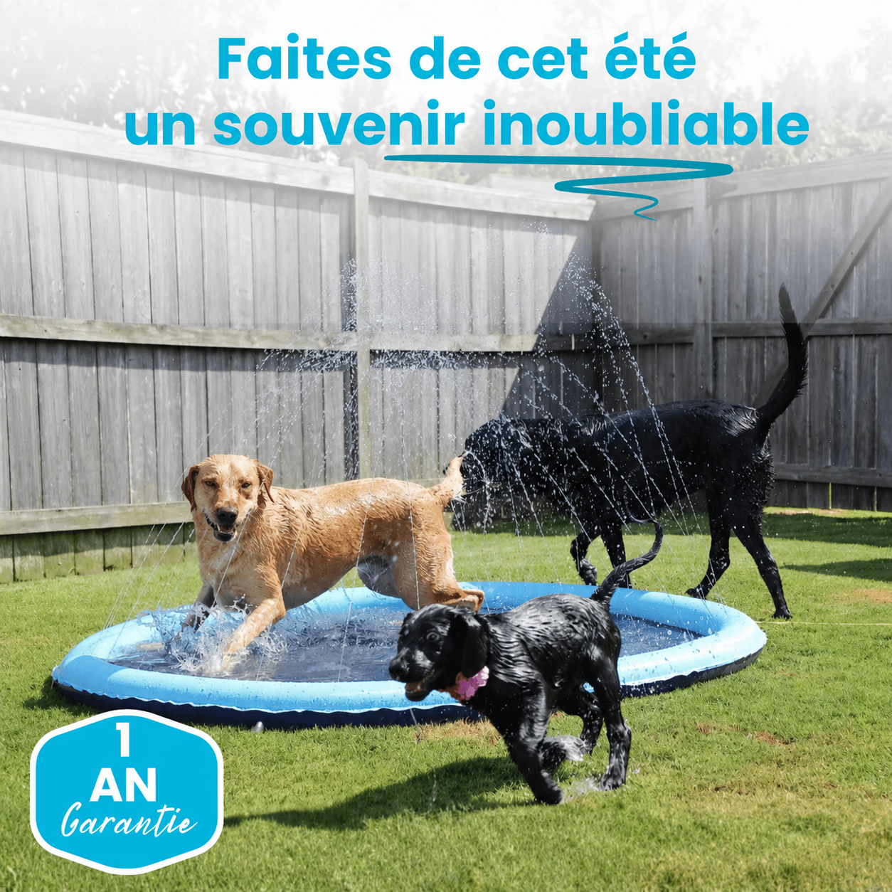 Tapis aquatique Luxeon