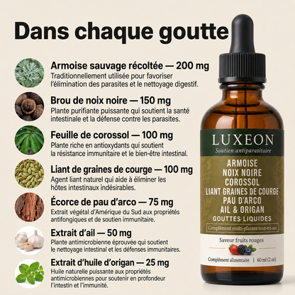 LUXEON Gouttes à base d’absinthe sauvage récoltée à la main