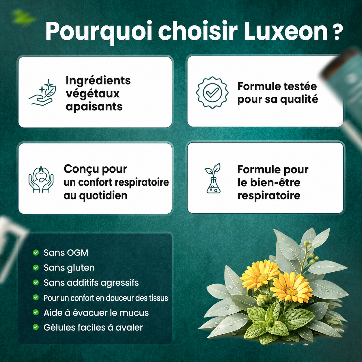 Luxeon™ Spray nettoyant pour les poumons