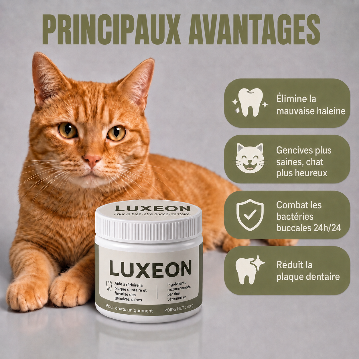 Protège ton chat de la plaque dentaire et des factures vétérinaires coûteuses
