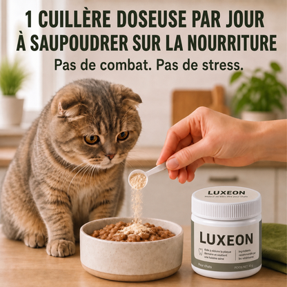 Protège ton chat de la plaque dentaire et des factures vétérinaires coûteuses