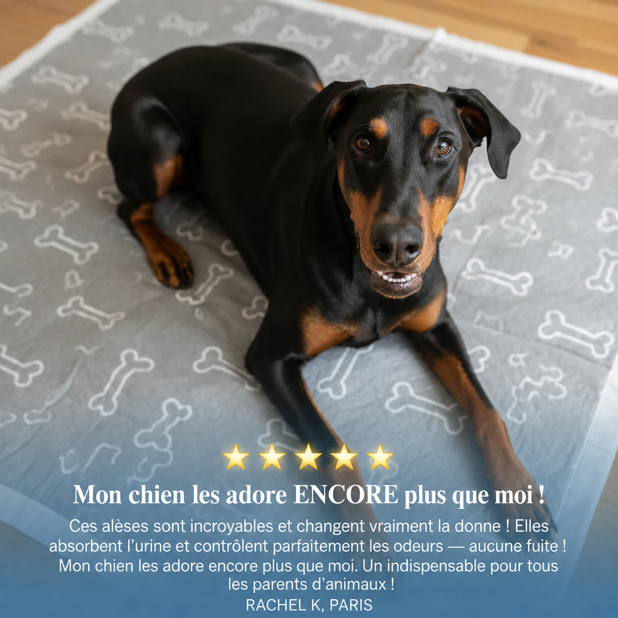 Tapis pour chien Luxeon
