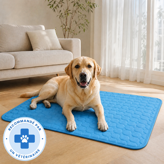 Tapis rafraîchissant Luxeon
