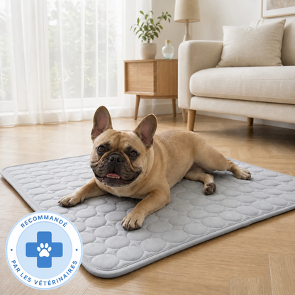 Tapis rafraîchissant Luxeon