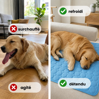Tapis rafraîchissant Luxeon