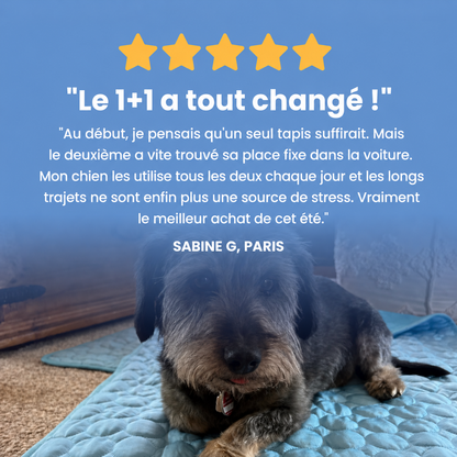 Tapis rafraîchissant Luxeon