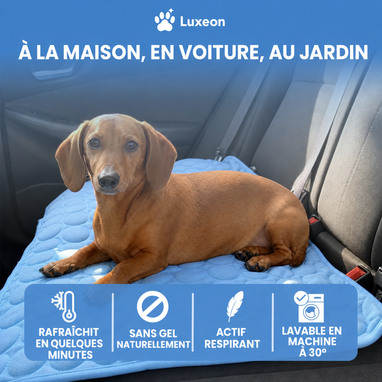 Tapis rafraîchissant Luxeon