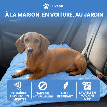 Tapis rafraîchissant Luxeon