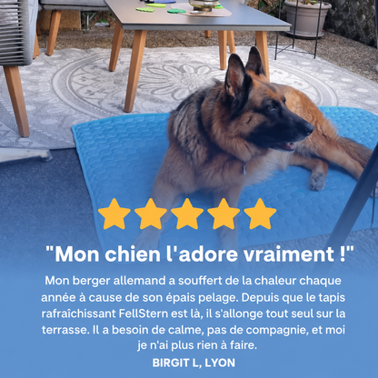 Tapis rafraîchissant Luxeon
