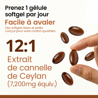 Cannelle de Ceylan, équivalent à 7 200 mg, avec de l’huile MCT
