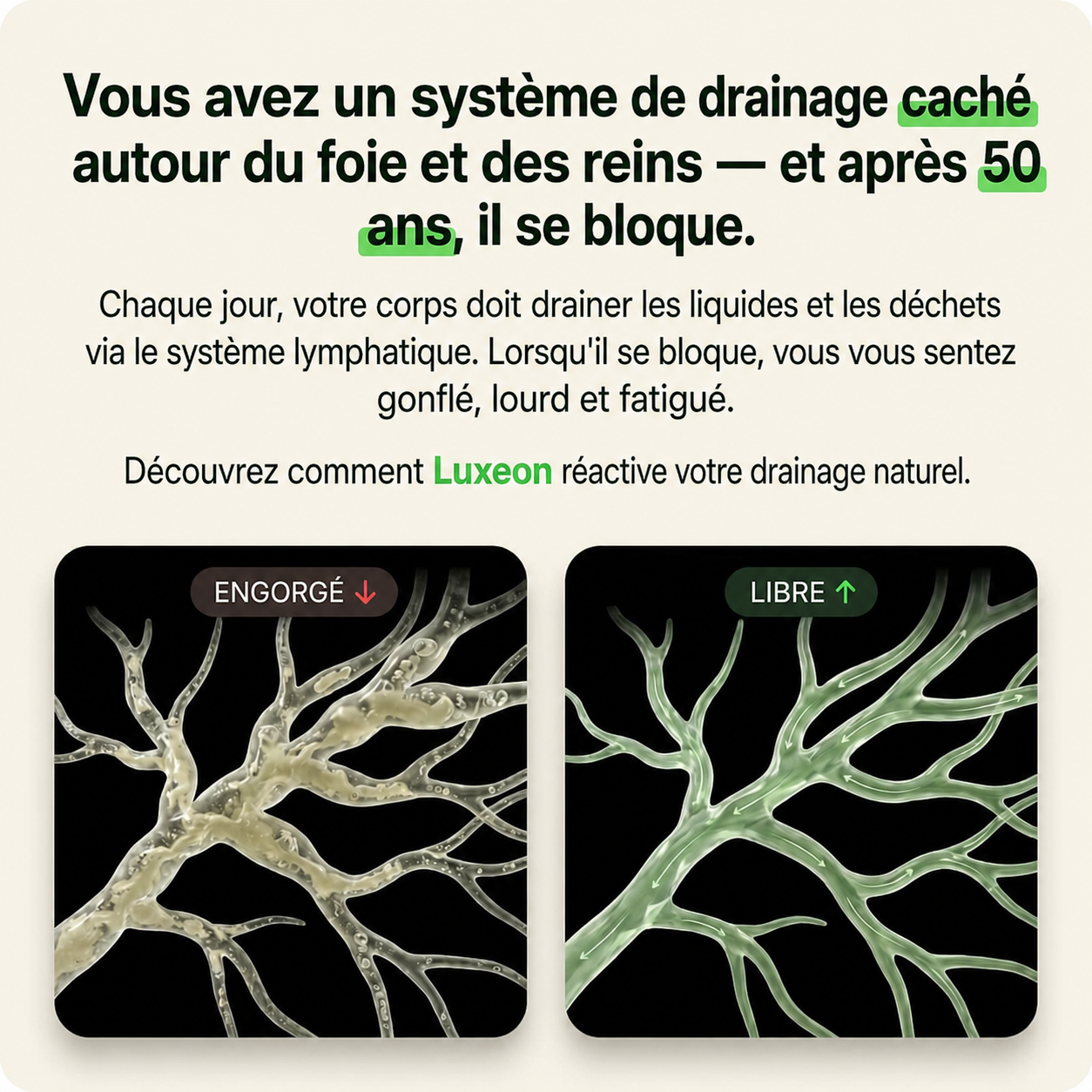 Luxeon— Drainage lymphatique Sentez votre corps repartir en 60 jours