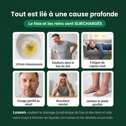 Luxeon— Drainage lymphatique Sentez votre corps repartir en 60 jours