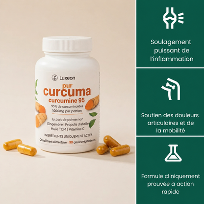 Capsules de curcumine de curcuma (1 000 mg)