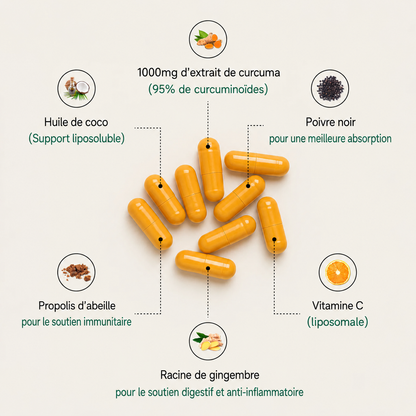 Capsules de curcumine de curcuma (1 000 mg)