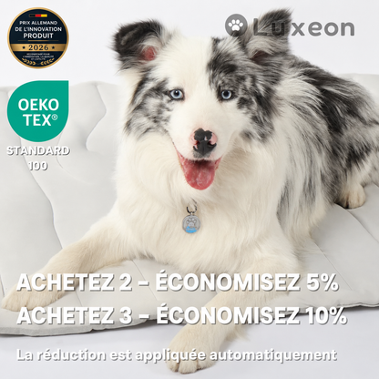 PawChill™ – Le tapis rafraîchissant innovant pour chiens