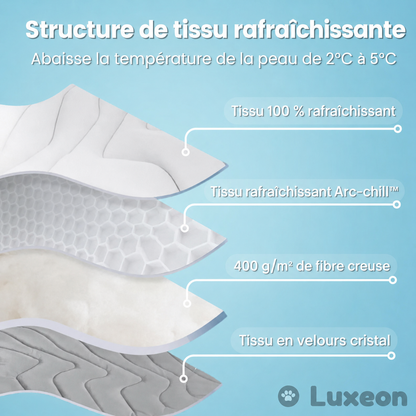 PawChill™ – Le tapis rafraîchissant innovant pour chiens