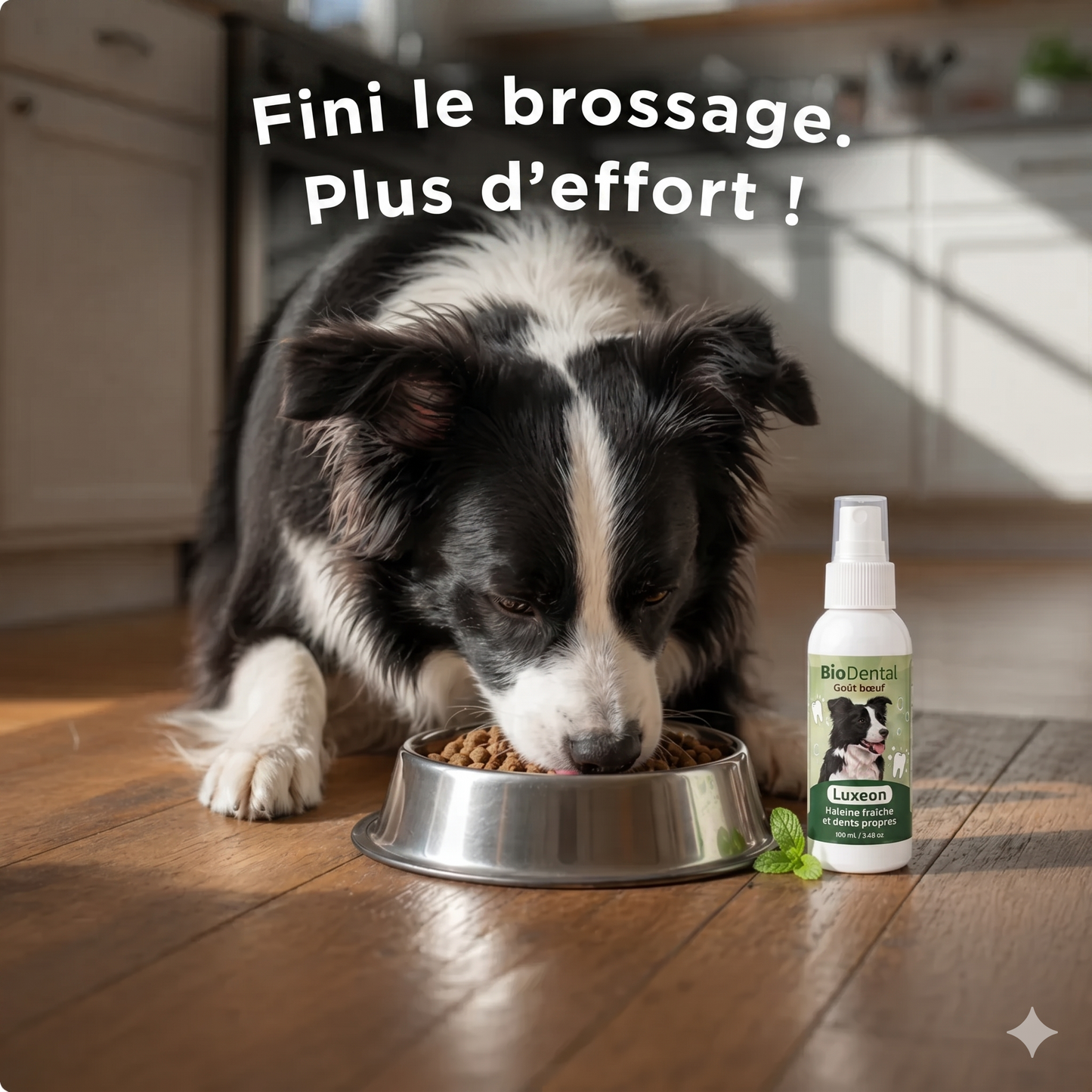 Spray dentaire Luxeon™
