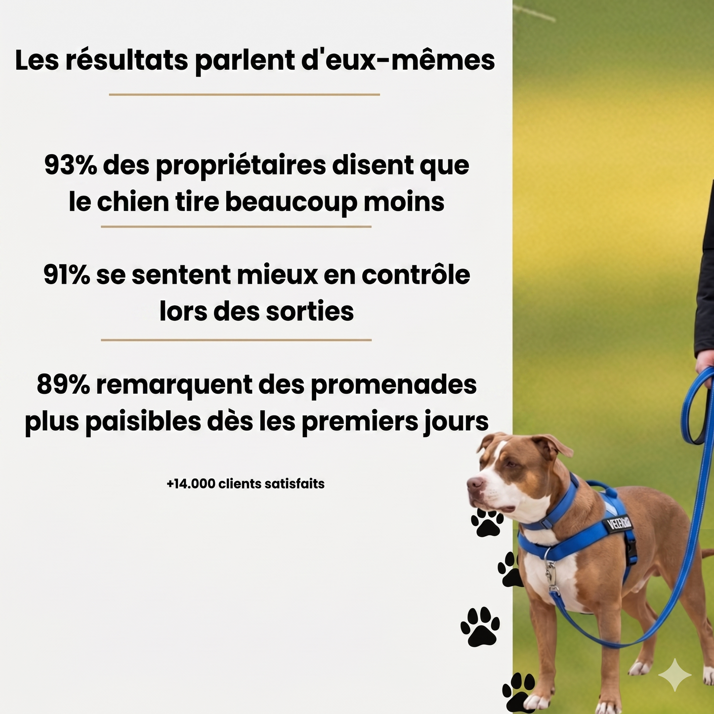Harnais Luxeon™ – Stop aux tiraillements, contrôle total